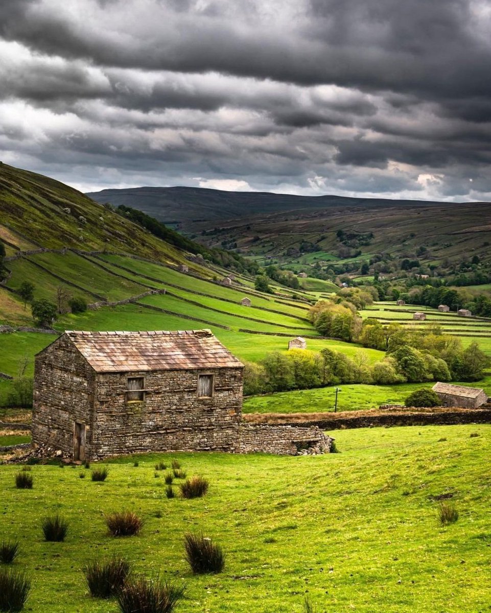 North Yorkshire tweet media