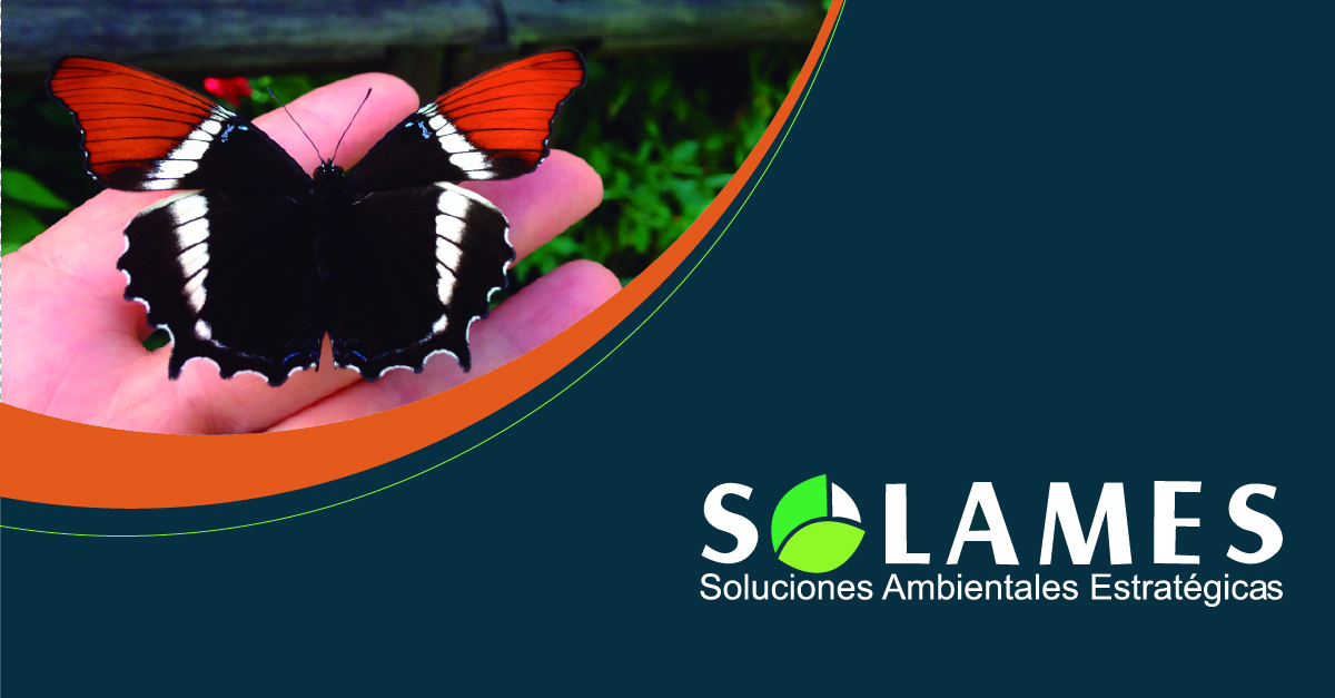 CoSolames's tweet photo. Noticias del día - https://t.co/vNjemhxkaO https://t.co/cltE1cVW44