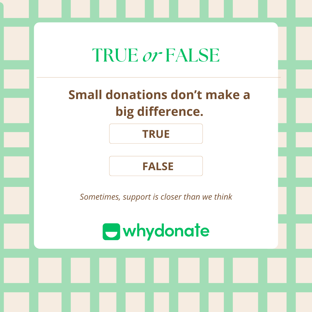Whydonate: Crowdfunding & Fundraising Platform tweet media