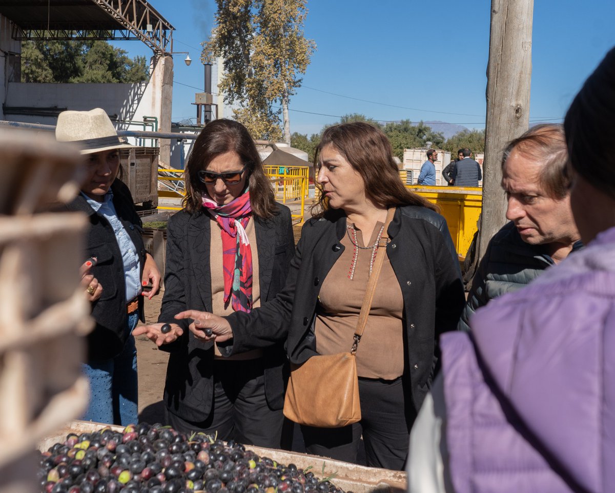 mintrabajo_lr's tweet photo. ✅ Junto al equipo del CFI, participamos de la “Jornada de Fortalecimiento al Enoturismo” en Chilecito, brindando información sobre las líneas de créditos disponibles para acompañar a productores vitivinícolas, emprendimientos y pymes riojanas. https://t.co/i0Jdu65Qg8
