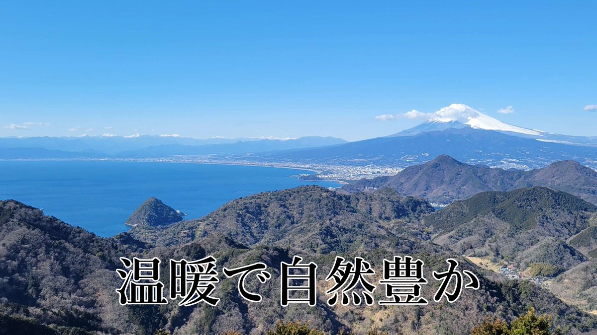 瑚乃しろ tweet media