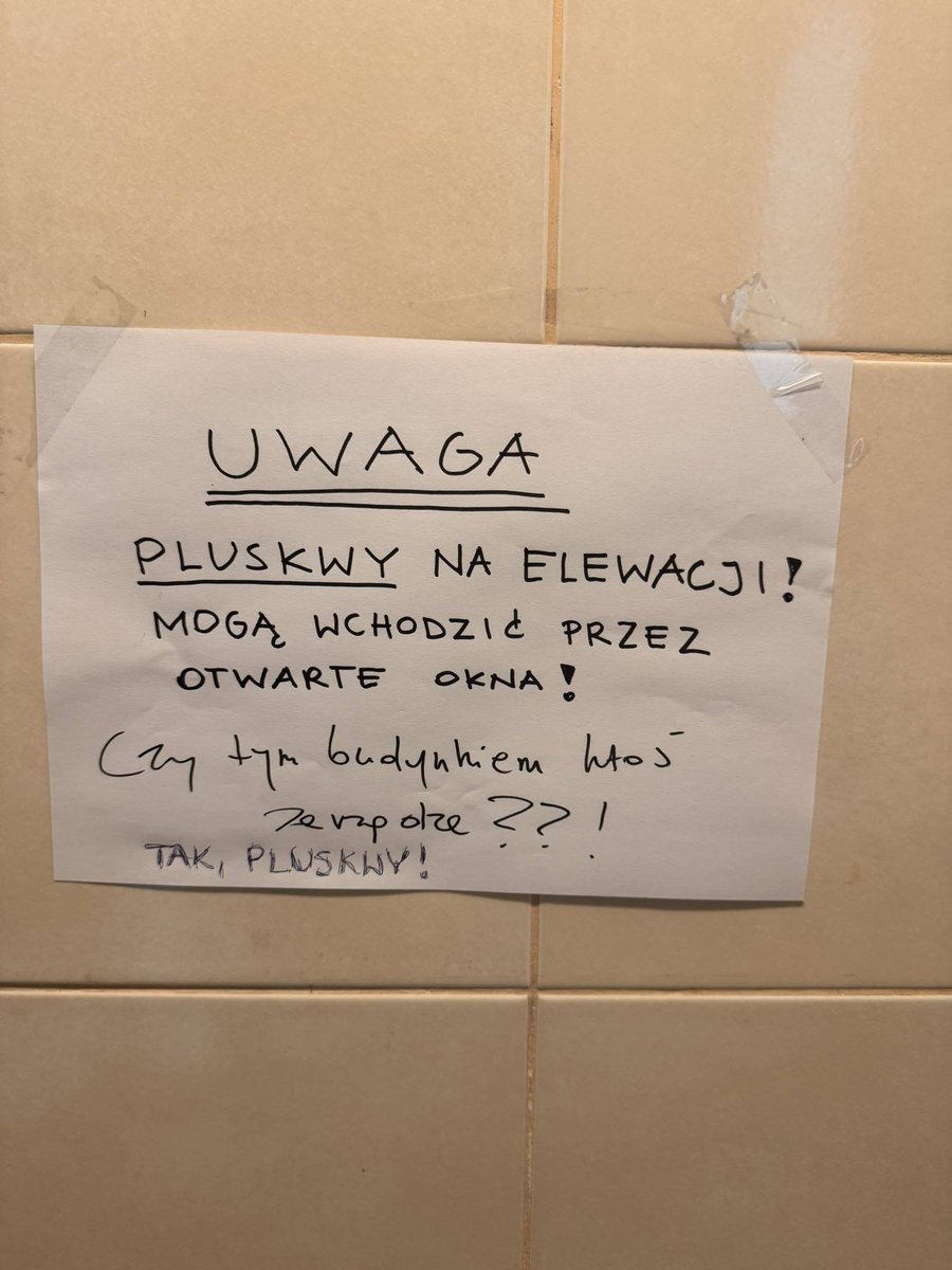 donald.pl tweet media