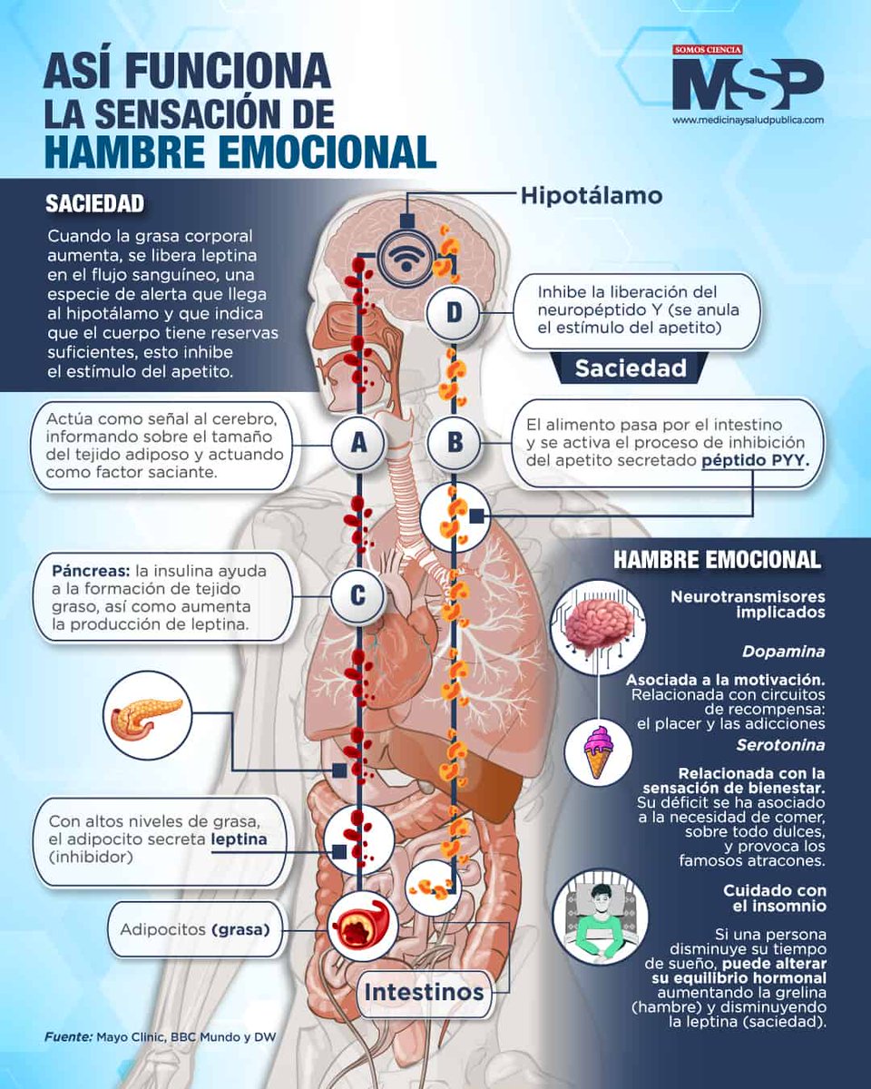 Revista MSP tweet media