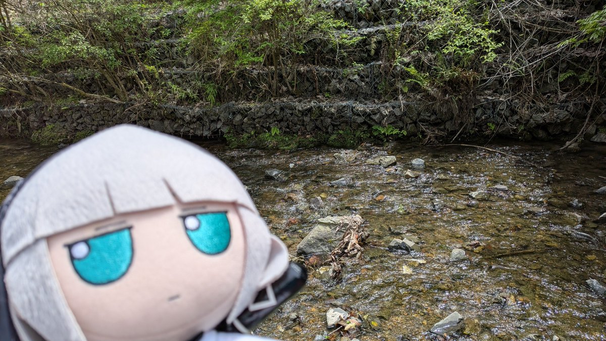 2u_mi8a's tweet photo. nature fumos. https://t.co/KFmGLmAgDK
