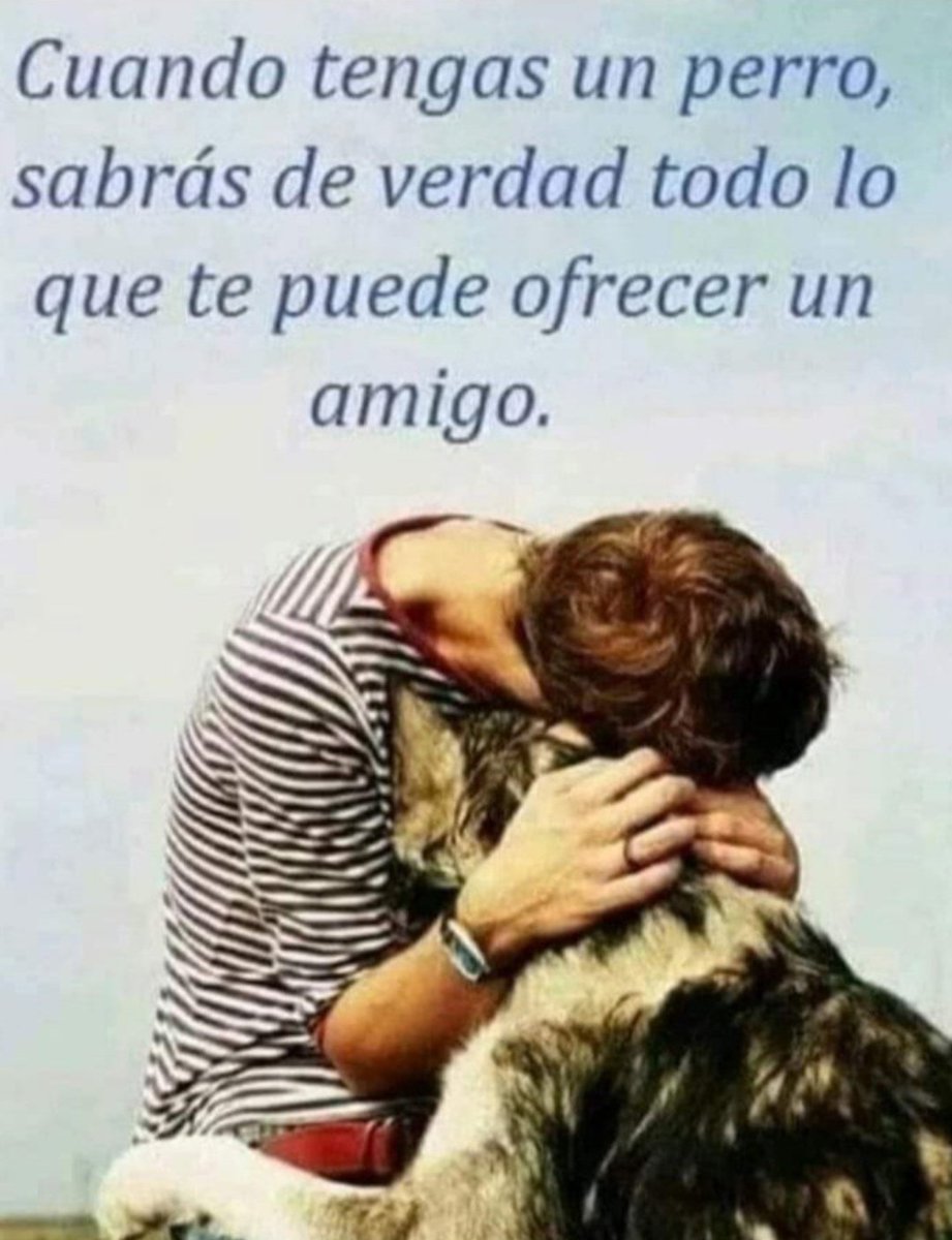 Carmen Torres tweet media