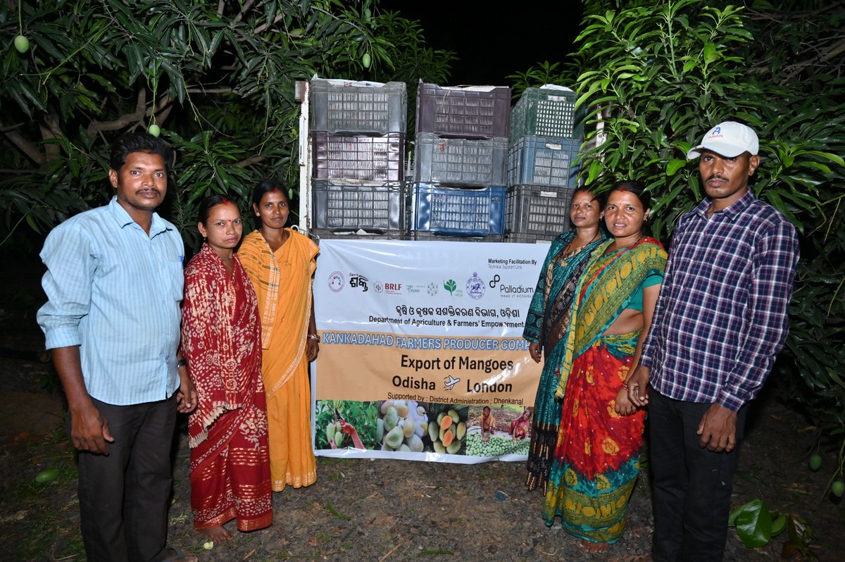 apc_program's tweet photo. From the orchards of Odisha to international markets — a major milestone for Kankadahada Farmers Producer Company Limited (KFPCL) as 15.5 quintals of Amrapalli mangoes were successfully exported to London.  

Promoted under the APC Program, KFPCL achieved this feat with the support of the Department of Mission Shakti, Directorate of Horticulture, Palladium Bhubaneswar, and APC partner SHRISTI.  

This achievement is a proud moment for KFPCL & its women farmers, whose hard work, dedication, and collective efforts are opening new opportunities for better market linkages and improved incomes, while taking the taste of Odisha’s mangoes to global consumers.

@CMO_Odisha @SecyChief @IPR_Odisha @krushibibhag
@Horticultureod1 @OLM_Antyoday @mission_shakti
@districtadmndkl @PalladiumImpact #SHRISTI @BRLF_India @PRADAN_India