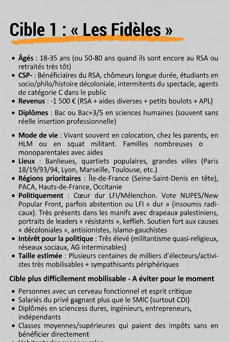 TheMaskedCEO's tweet photo. @Clemence_Guette Une note de LFI a fuité https://t.co/Nbw3IfWP0L