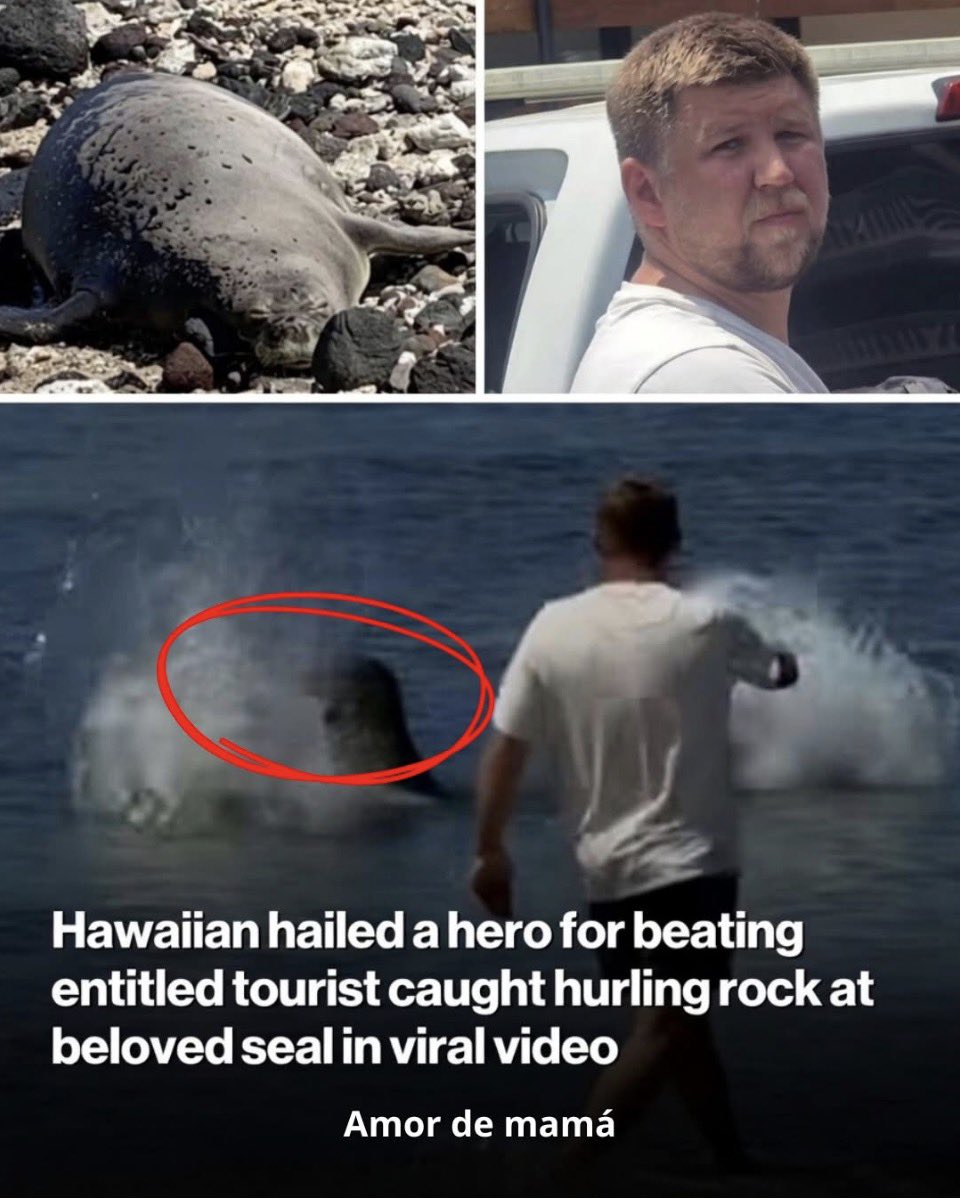 PROTECT ALL WILDLIFE tweet media