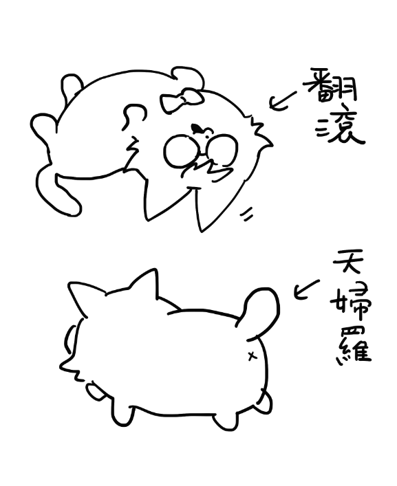 d1在N03，d2在H18 tweet media