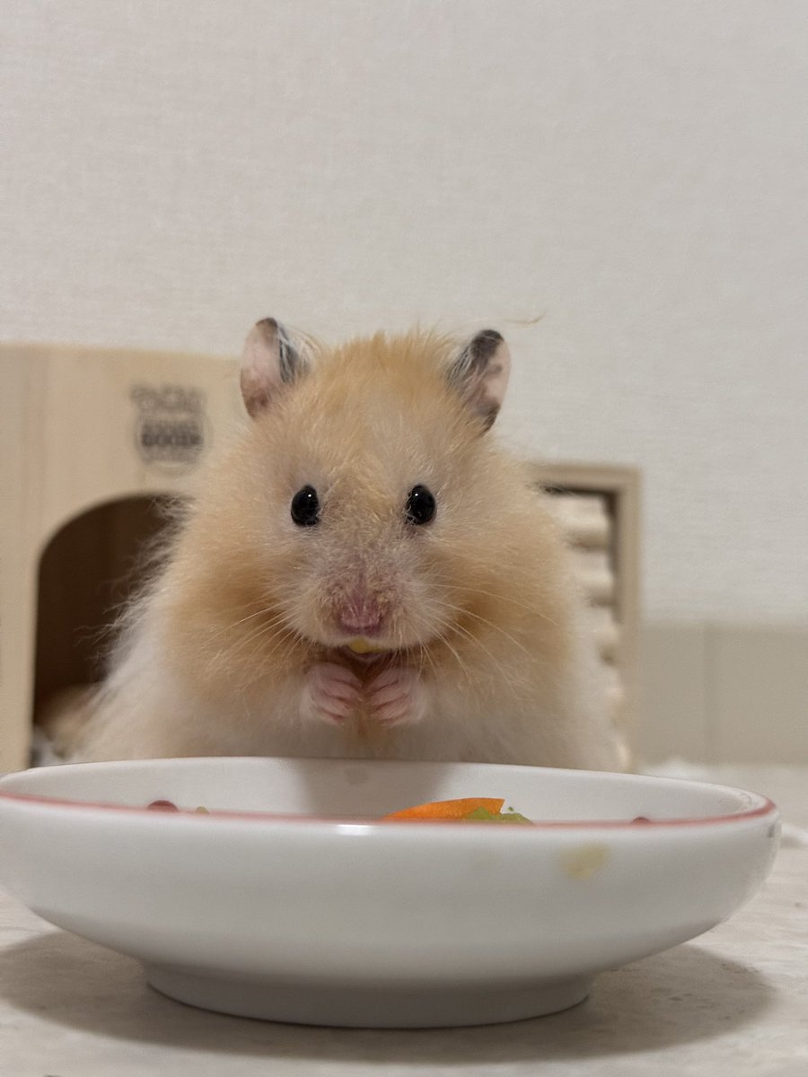 てんまろ tweet media