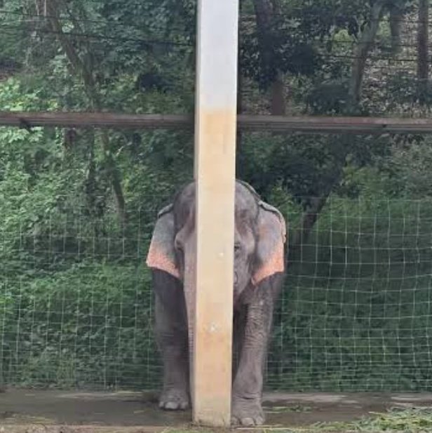 สมกิ้น tweet media