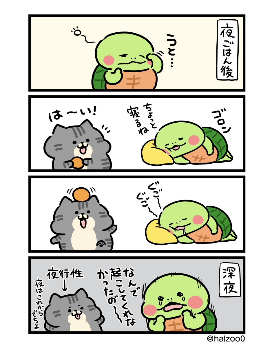 はる蔵 tweet media