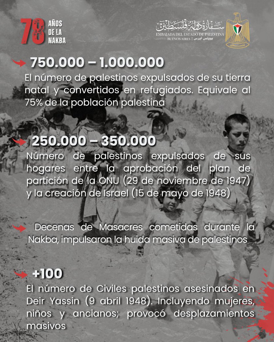 @embpalestina tweet media