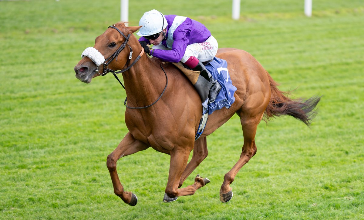 Racing Post tweet media