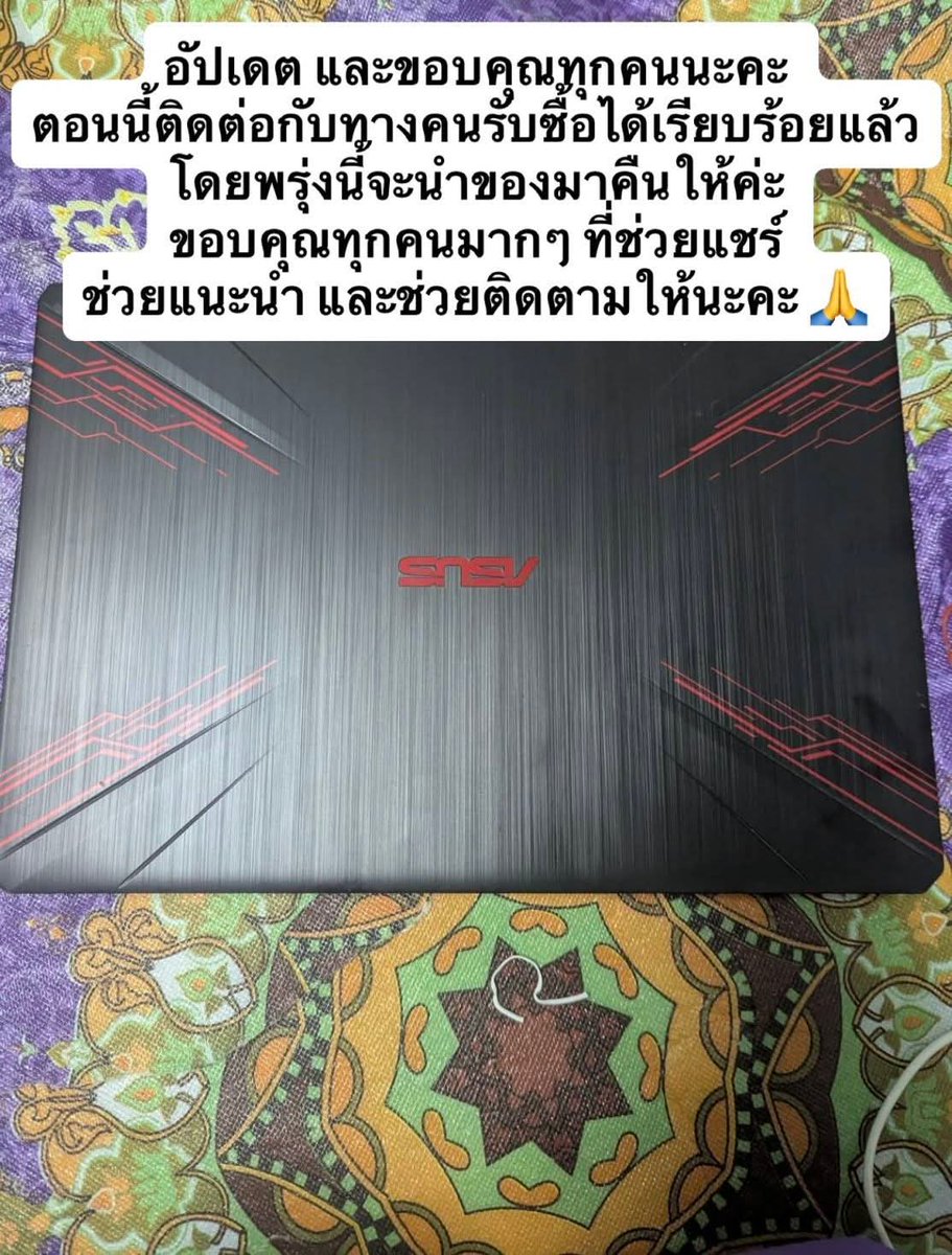 aoikotori | อาโออิโคโทริ | 青い小鳥 tweet media