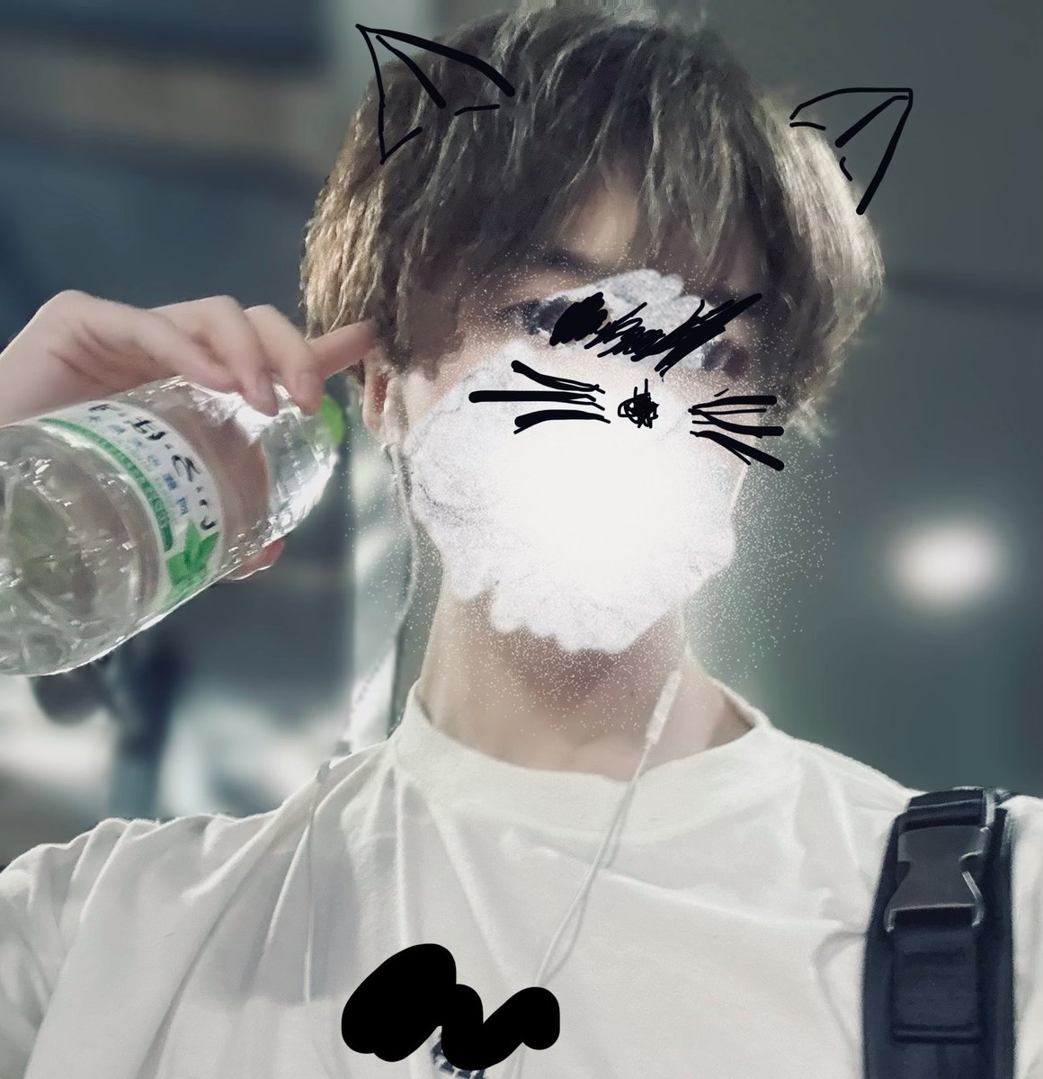 星猫🌠🐈【hoshineco】 tweet media