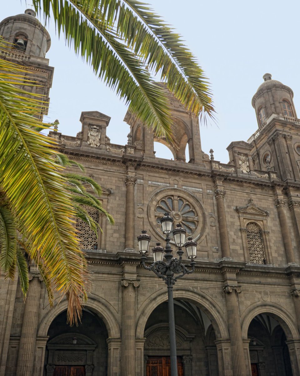Turismo de Las Palmas de Gran Canaria tweet media