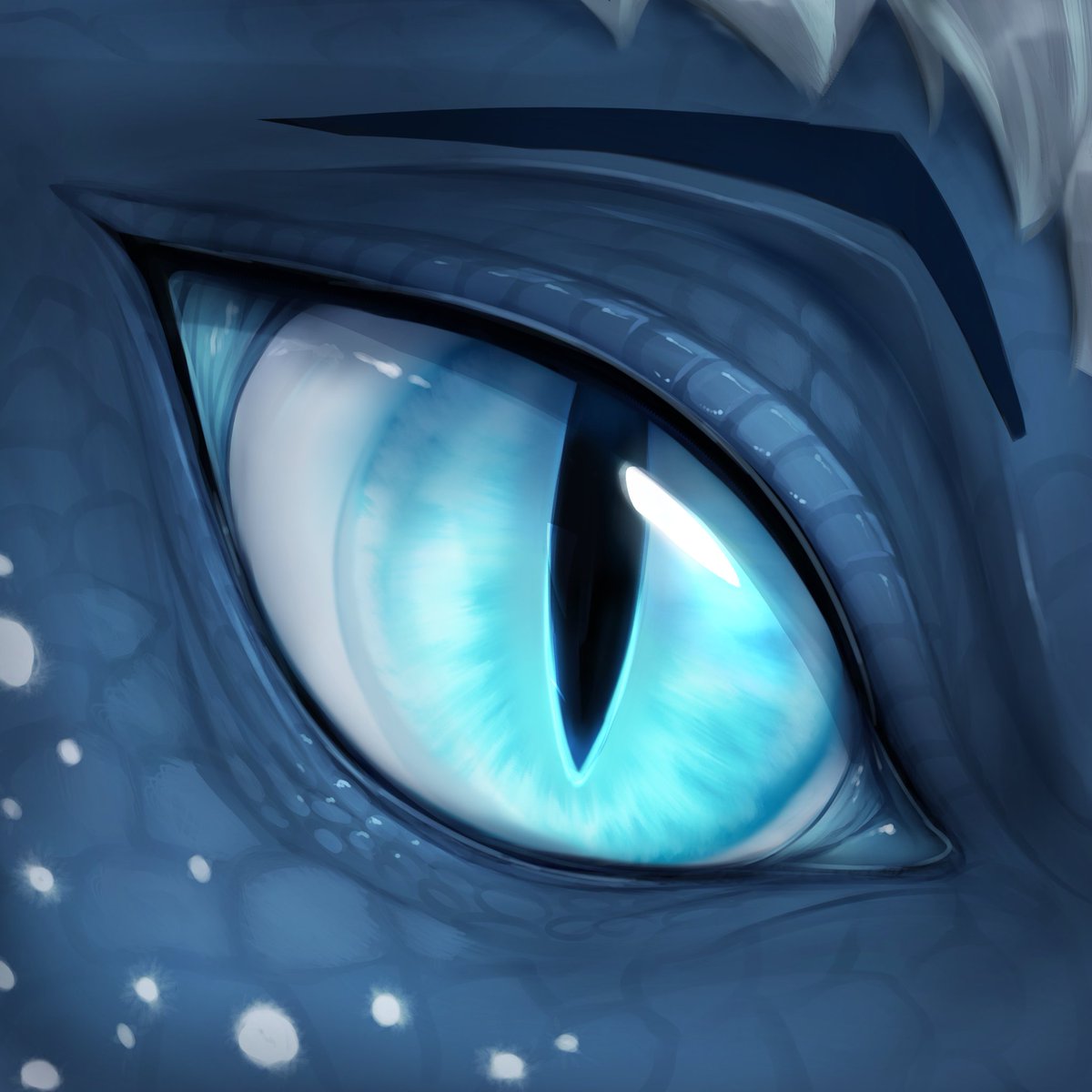 WinterDragon tweet media