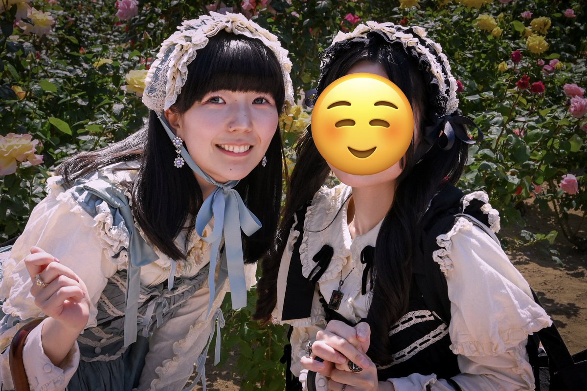 Hana写真事務所 tweet media
