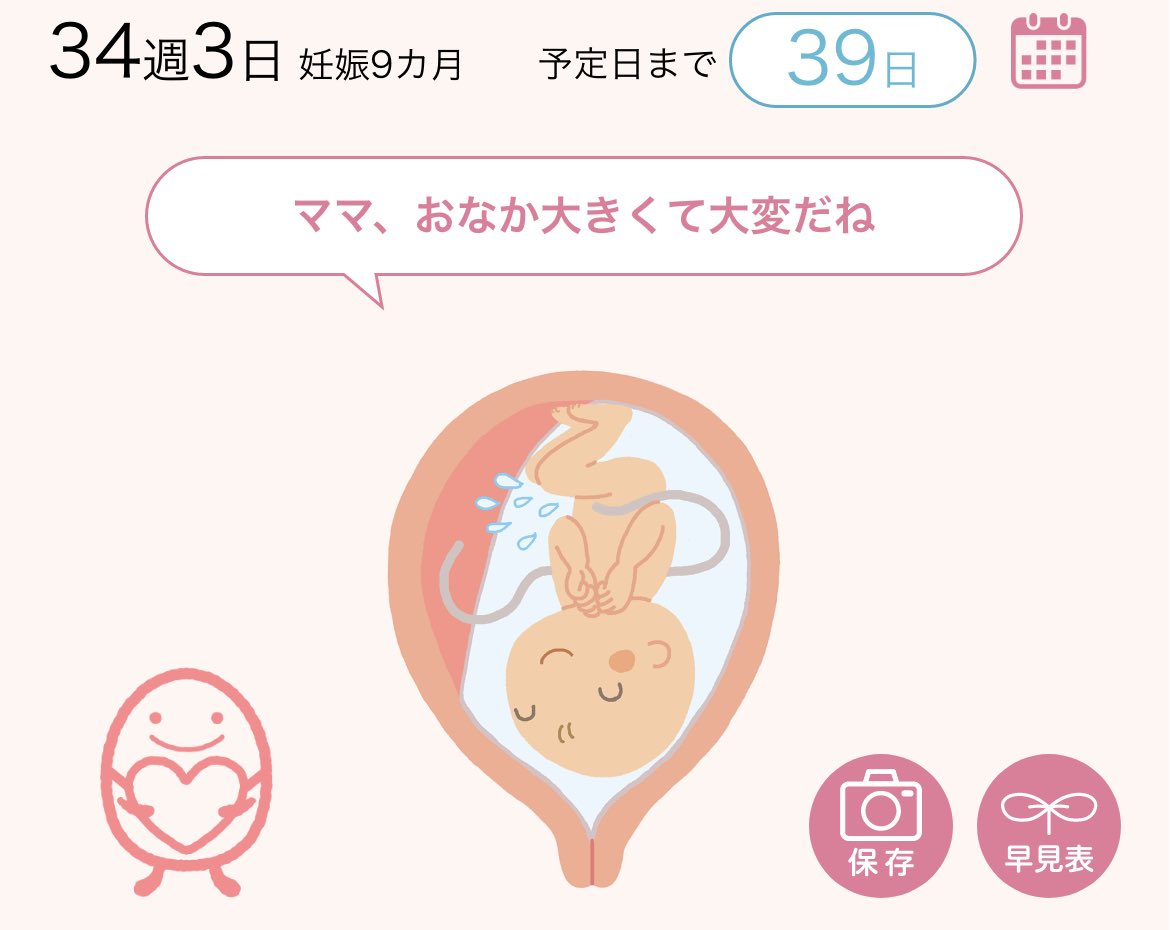 とんかつ☺︎ tweet media