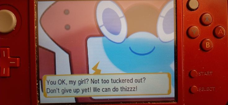 OoCPokemon's tweet photo. https://t.co/KBgaoStHBj