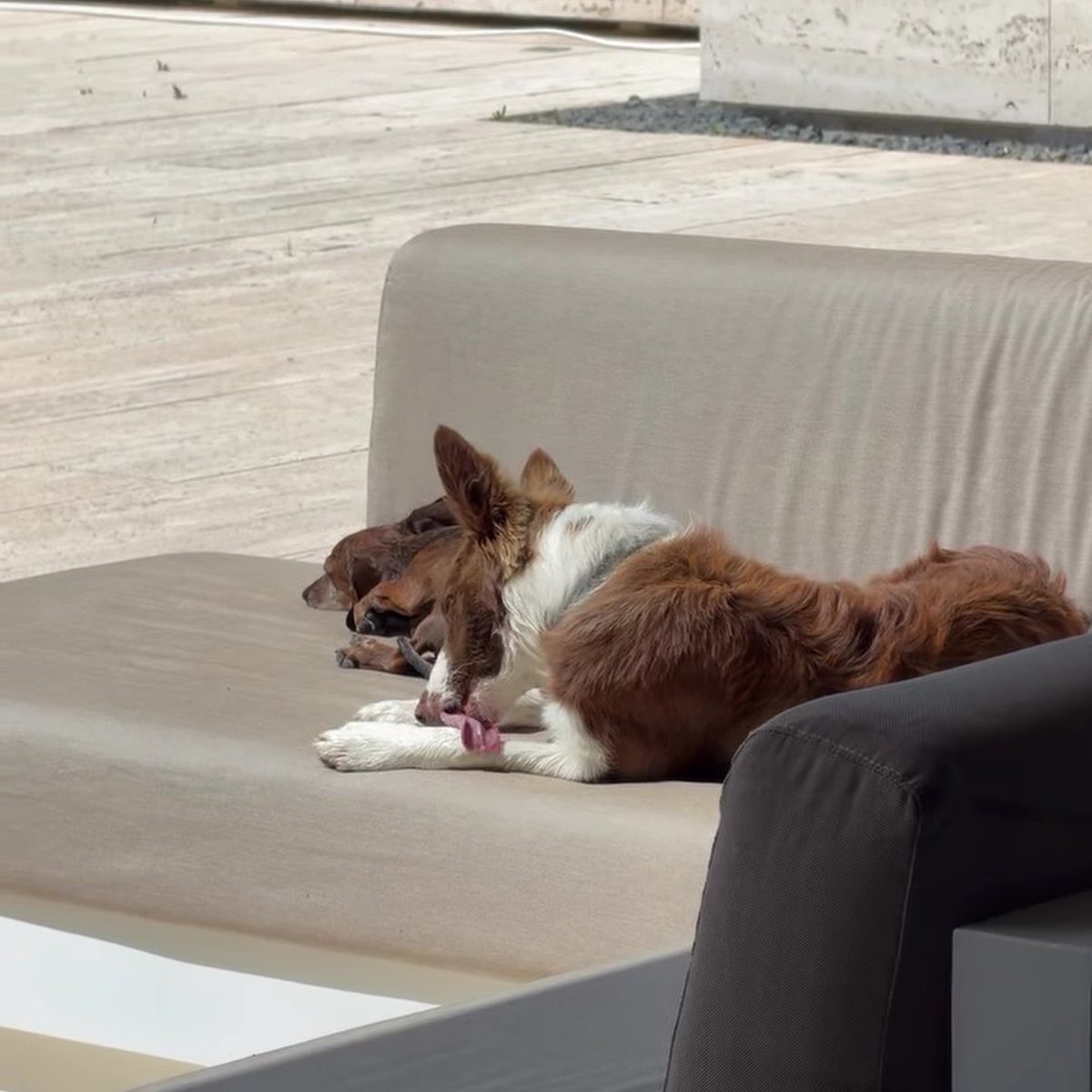 lia 🦥 tweet media