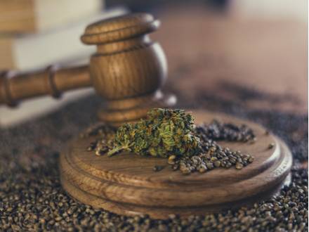 WoolfLaw's tweet photo. Will Marijuana Reclassification Affect Drug Crime and DUI Cases? https://t.co/HXual0Nkhe https://t.co/TchbBSxkHd