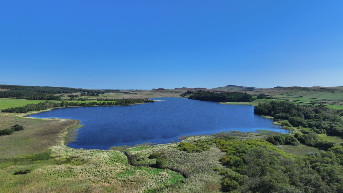 N'land National Park tweet media