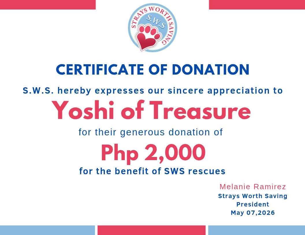 YOSHI’S MEOWSHIS PH tweet media