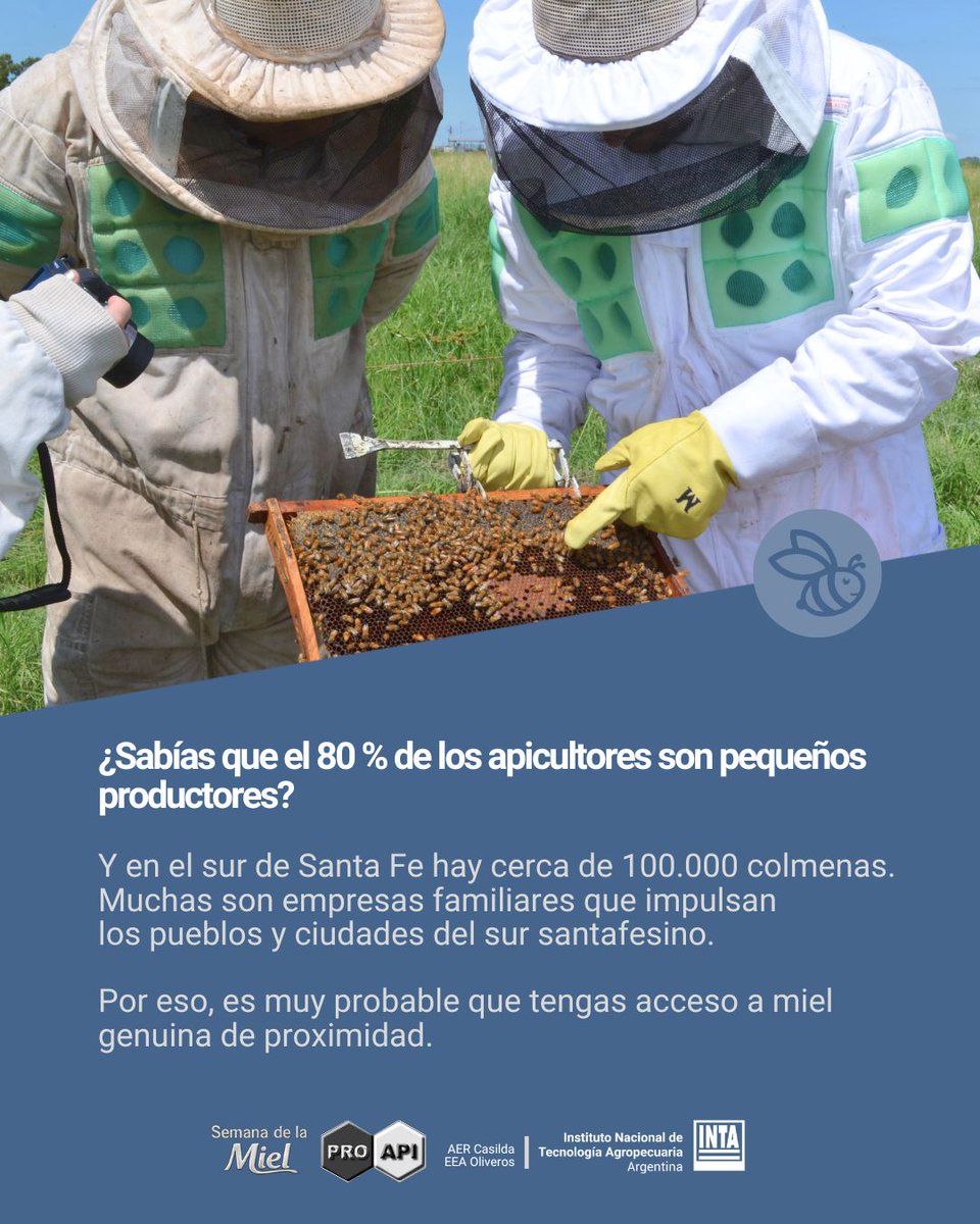 INTASANTAFE's tweet photo. Desde el #INTA nos sumamos a la Semana de la Miel 2026 para poner en valor la calidad de la miel argentina y el trabajo de miles de productores apícolas que sostienen esta actividad en todo el país.

🍯#SemanaDeLaMiel2026 
🇦🇷  #MielArgentina 
🐝#Apicultura 
🍯#ConsumoLocal https://t.co/NFWLuB8IRA