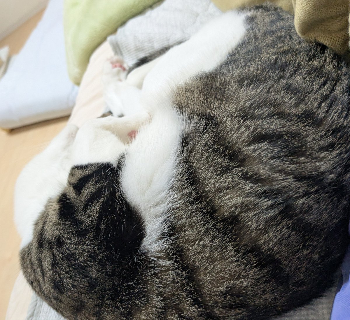 ワカとヤマ (@wakaandyama) / Posts / X
