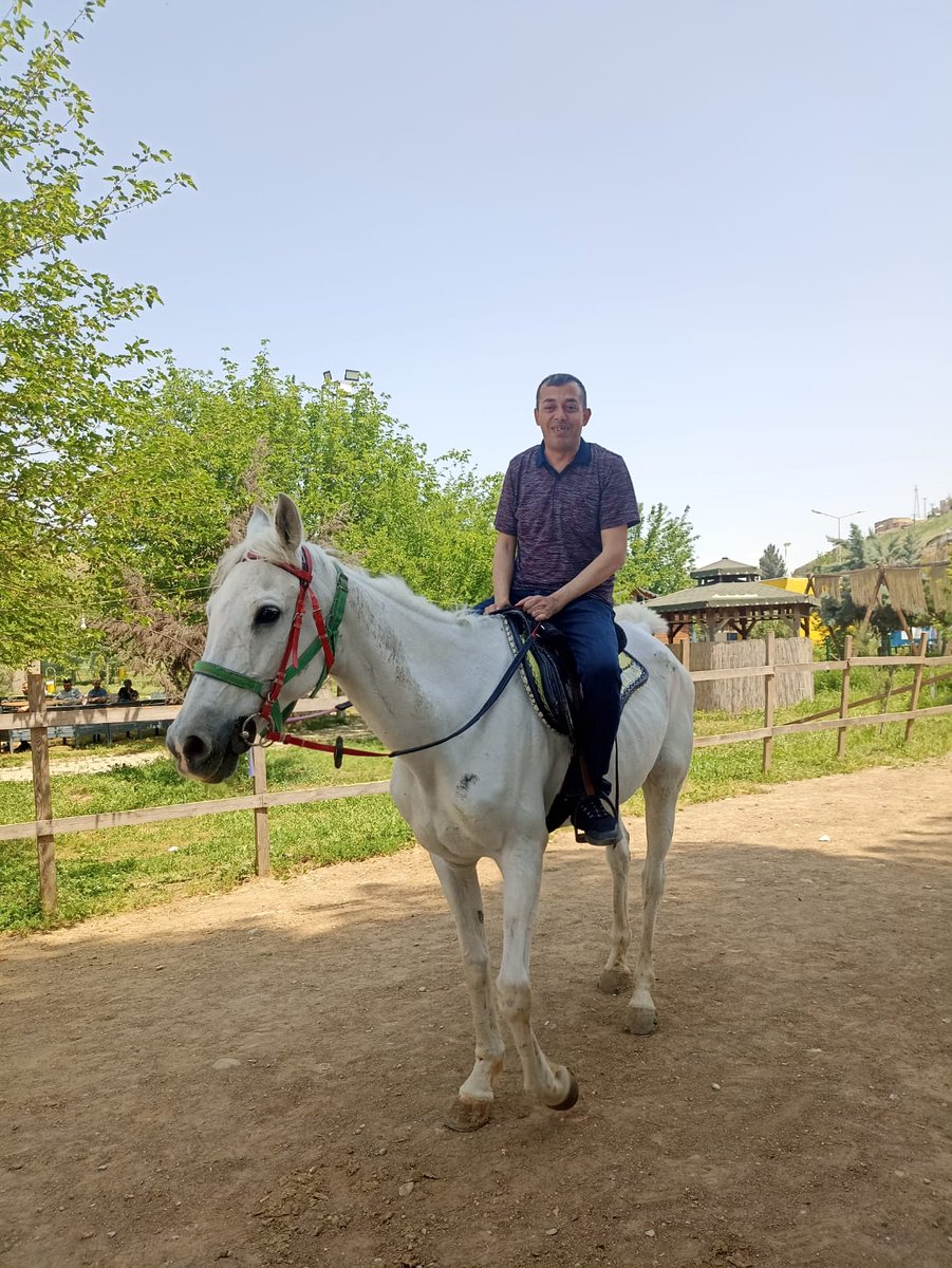 Siirt Aile ve Sosyal Hizmetler İl Müdürlüğü tweet media