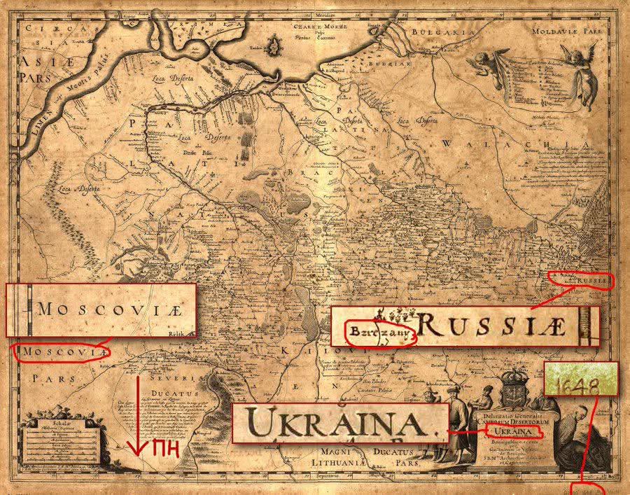 Maryna Filypchuk 🇺🇦🇮🇱 tweet media