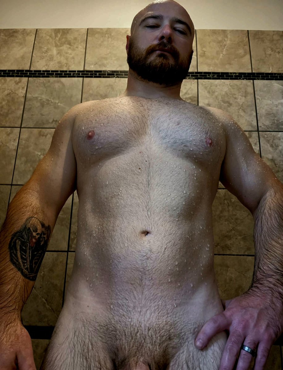 Bearded Gainz tweet media