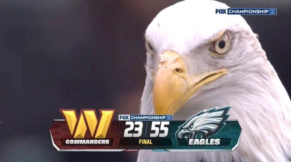 Life of a Philly Fan tweet media