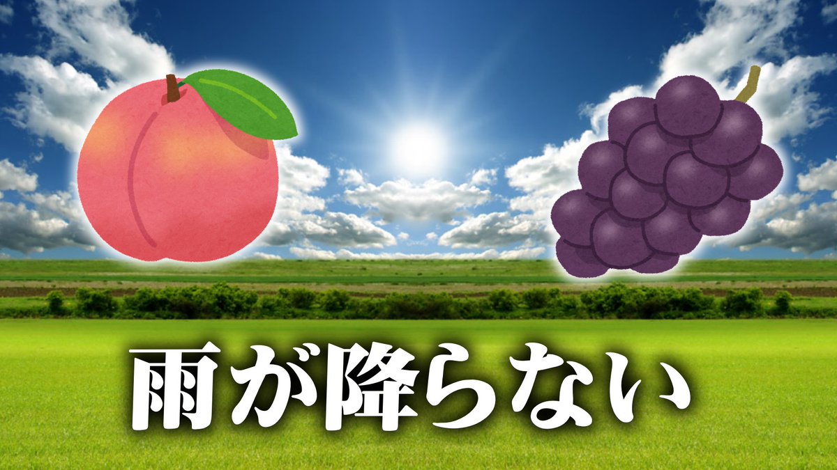 飴望にぃな🍭🦊 tweet media