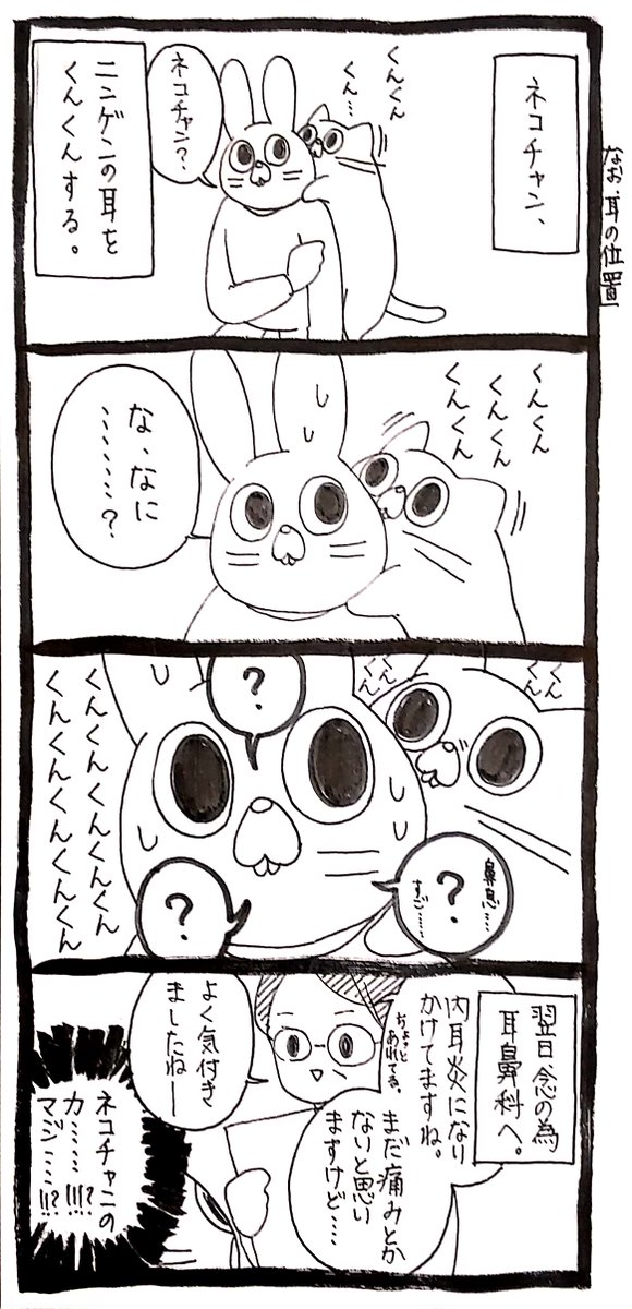 うさぎのみみちゃん😇デザフェス両日西1階B-10 tweet media