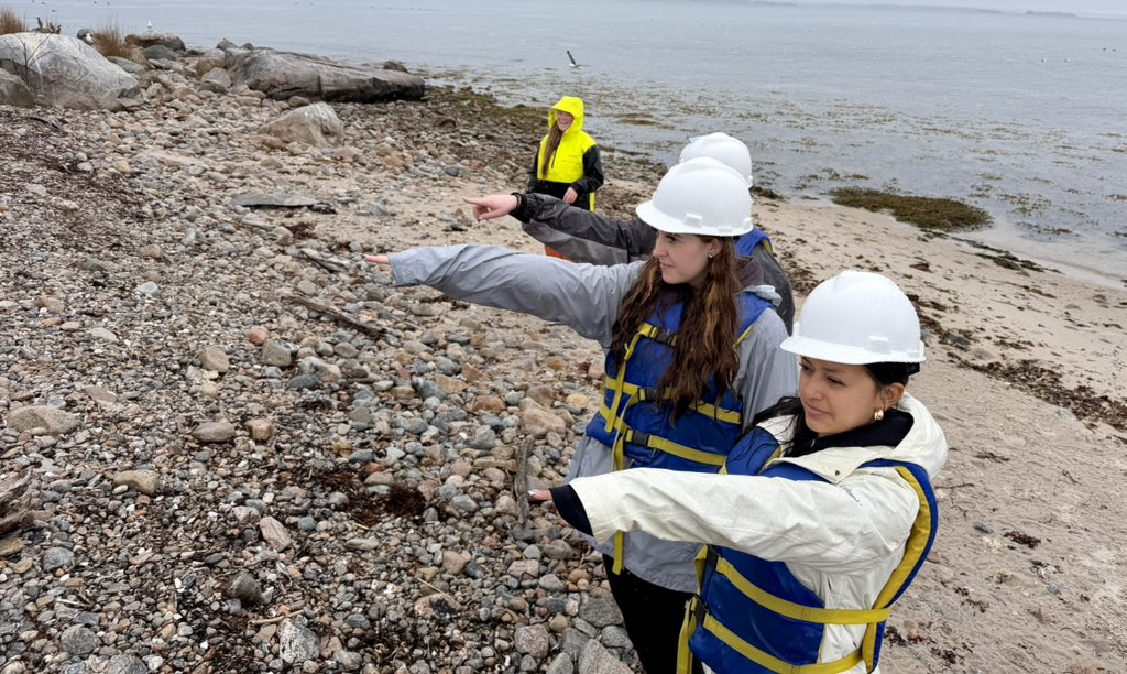 DBednarzLHS's tweet photo. LHS AP Bio at S.Dumpling Island doing nest/egg/chick count. Bioethical position paper to follow- should the cormorants of island be managed? A little rain- we survived … and thrived! https://t.co/It20QeHb8t