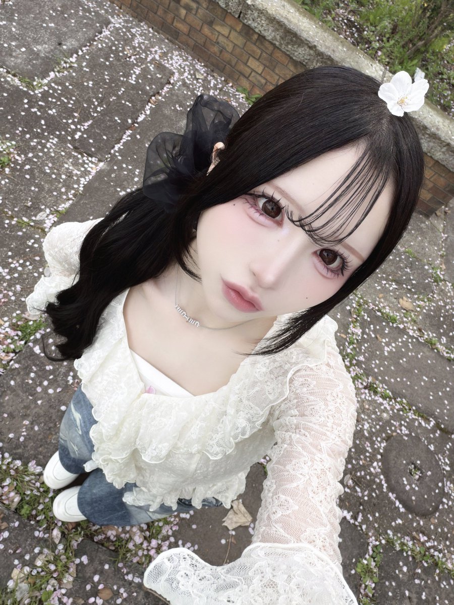 顔面 tweet media