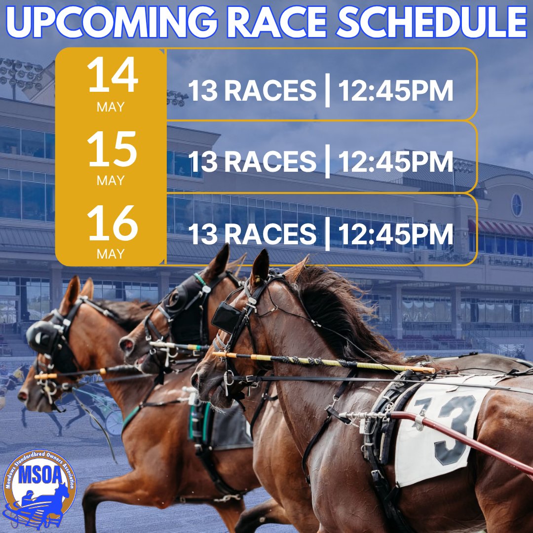 Meadows Standardbred Owners Association tweet media
