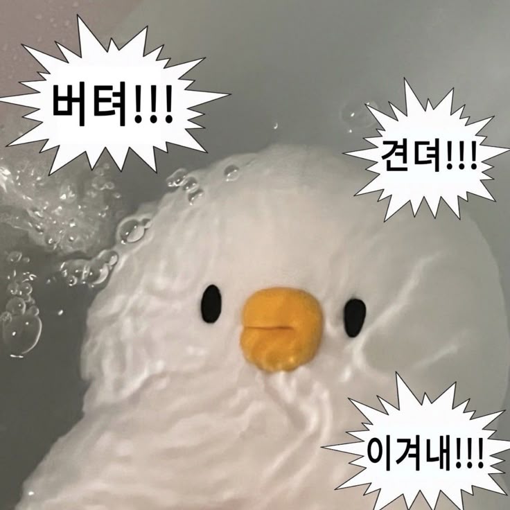인생 tweet media