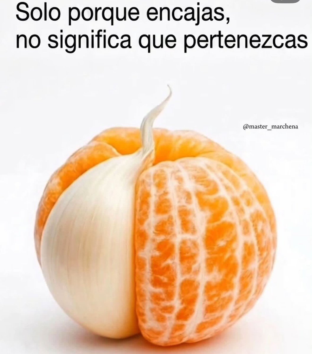 RincnCuriosoo's tweet photo. 🧐 https://t.co/UiVccJPWUF