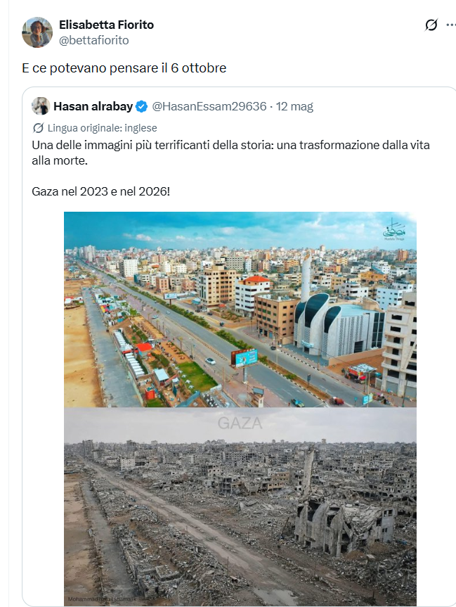 Donna Malizia tweet media
