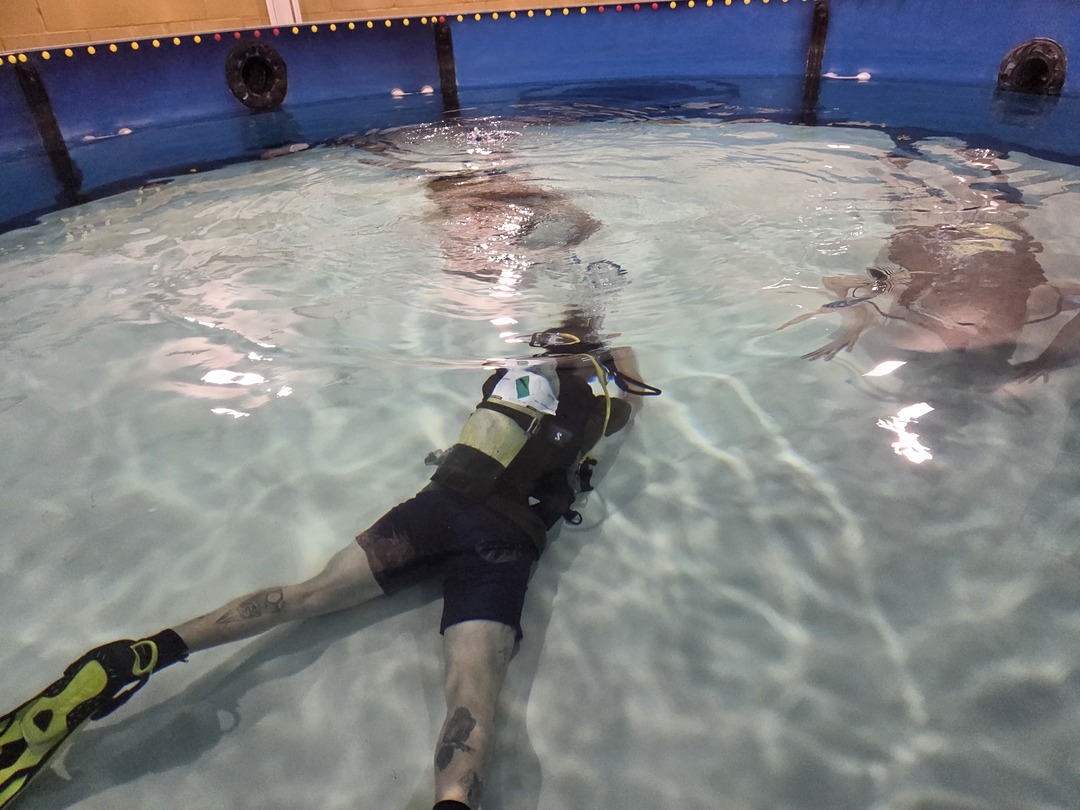 LSDUK's tweet photo. Another Discover Scuba Diving session splashing off beautifully. And yes… Thursdays are still FREE. Come see what underwater feels like. https://t.co/iukV6jC2s3