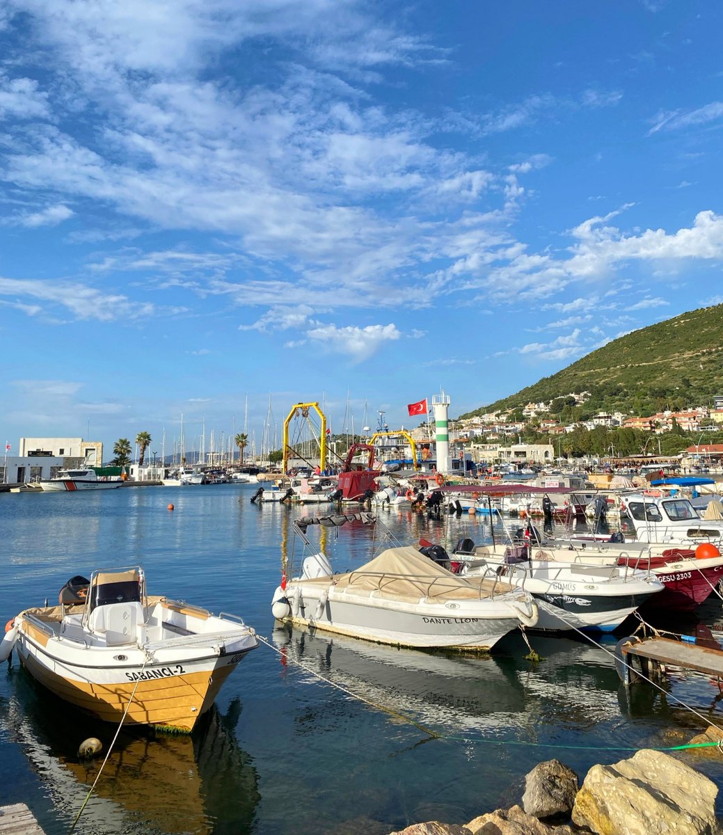mrvyldzz13's tweet photo. Yenifoça ✨ https://t.co/FjAMGzBi51