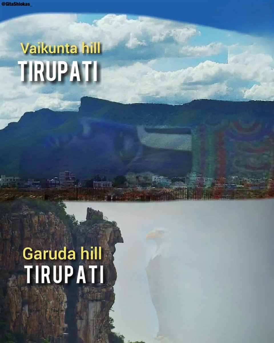 Bhagavad Gita tweet media