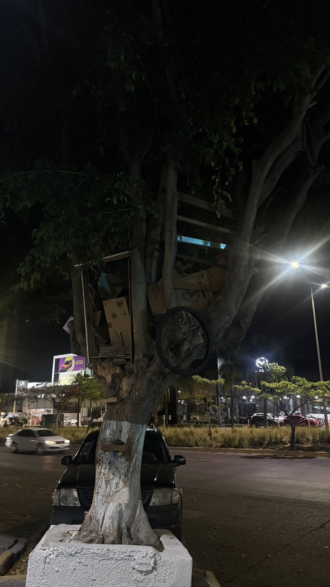 fucboingdeguayaba tweet media