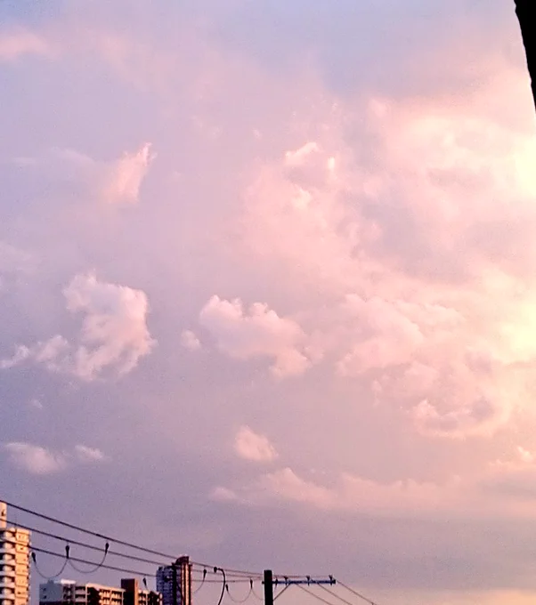 空がなんかメッチャいい感じでした おやすみなさい