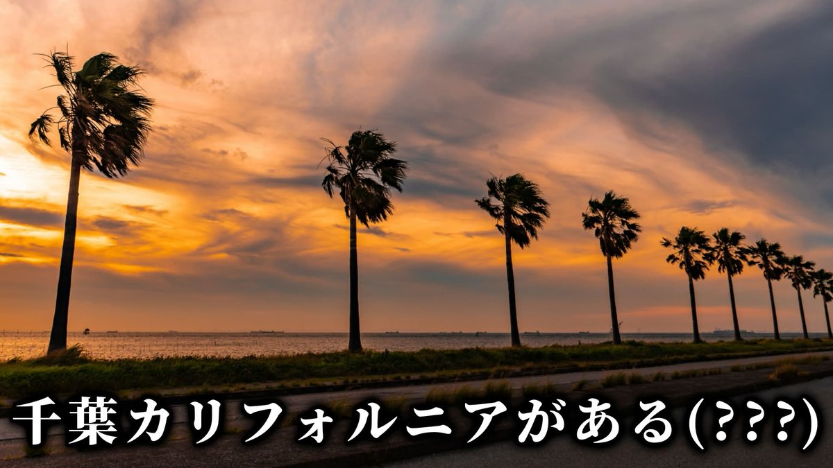 房総なの🦝📣💛千葉ご当地VTuber tweet media