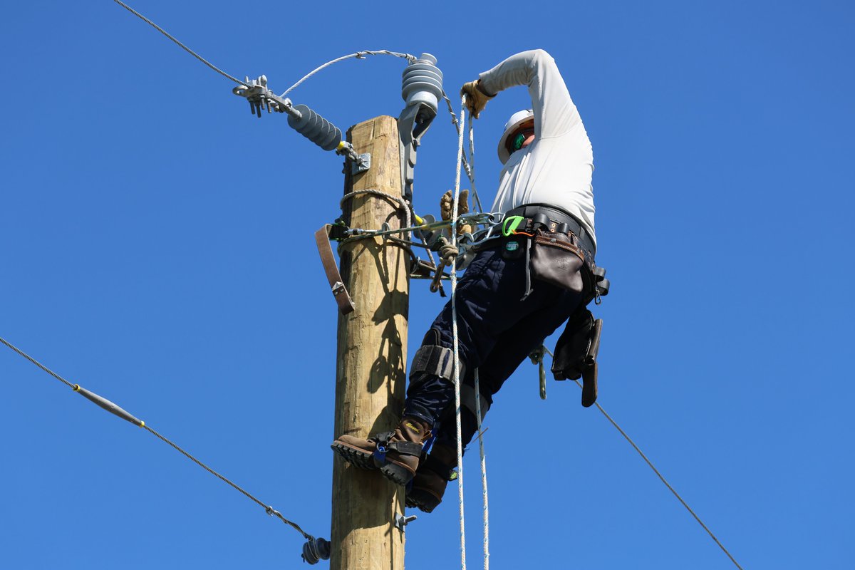Delaware Electric tweet media